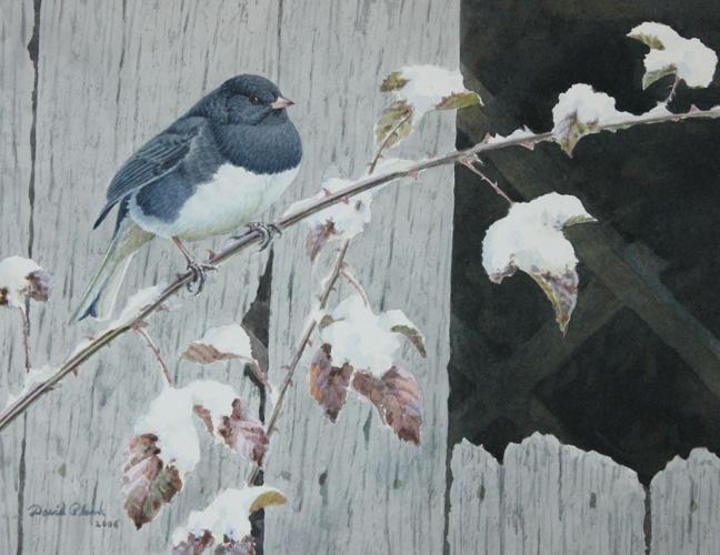 IMG_8331 - cropped.jpg