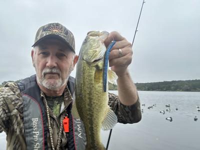 Bass fishing