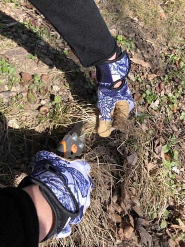 Trimming sedges Jamie Leahy.jpg