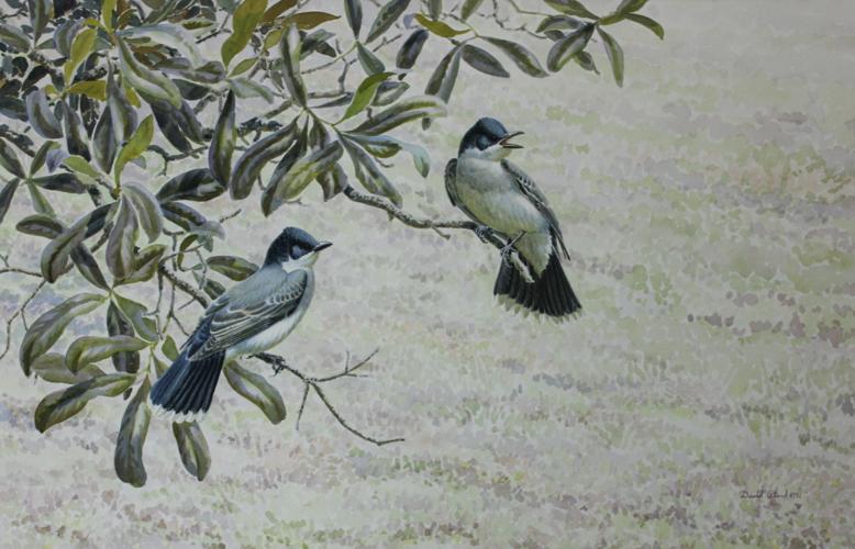 IMG_8335 - cropped.jpg