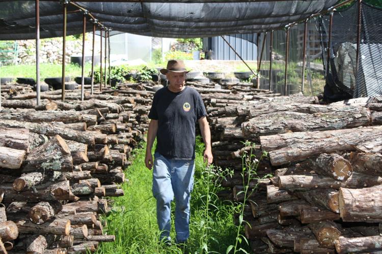 Dan Hellmuth at Timber Farms, The Sinks