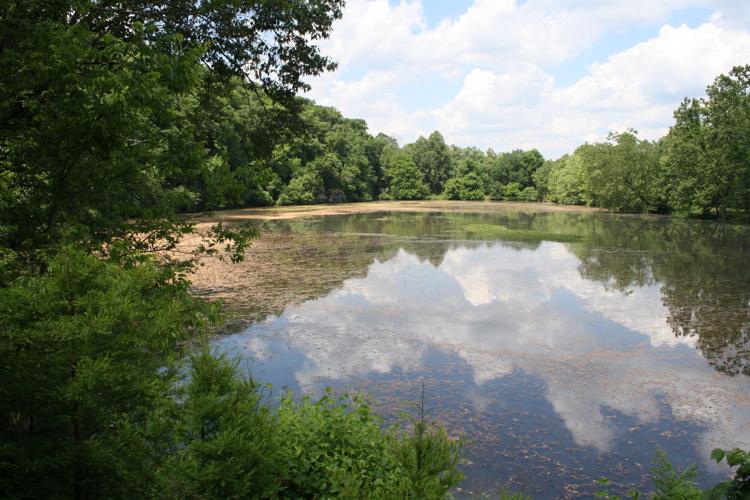 The view from the Beaver Lake Guest House