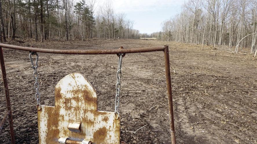Steel at 905 yards, the small clearing in the distance is the firing position.