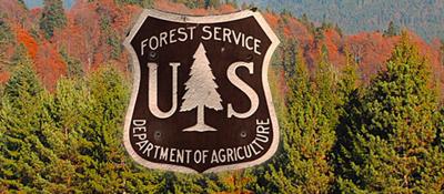 forest service logo