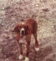 Same, just different