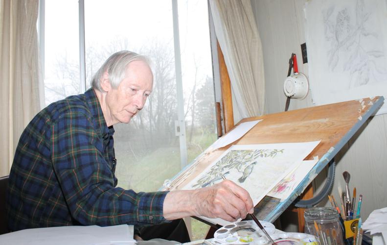 IMG_8347 - cropped.jpg