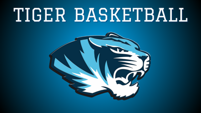 Tiger Basketball.png