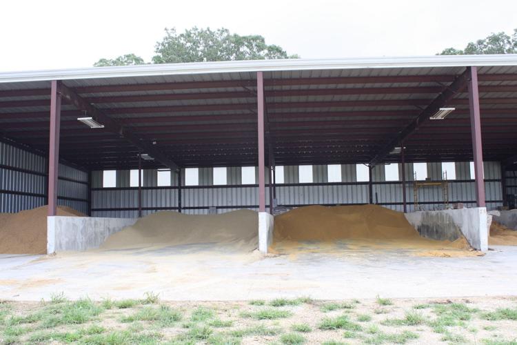 Networth Feeds and Feeding