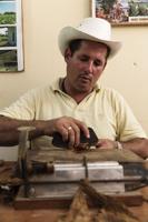 Cuban man rolling a cigar