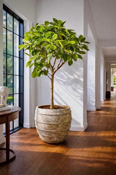 Trendy Gardener Launches The Living Form Catalog for Design-Led Plant Installations