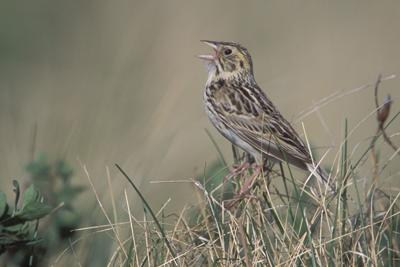 123025_sn_Driftwood Outdoors.jpg