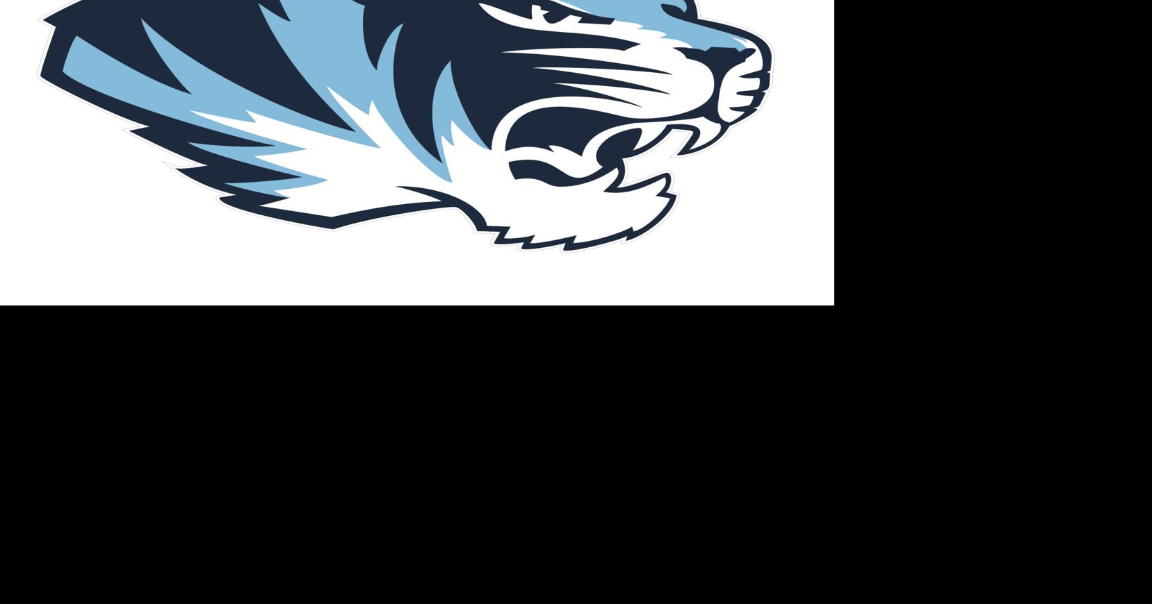 SOFTBALL Salem softball posts pair of impressive victories last week