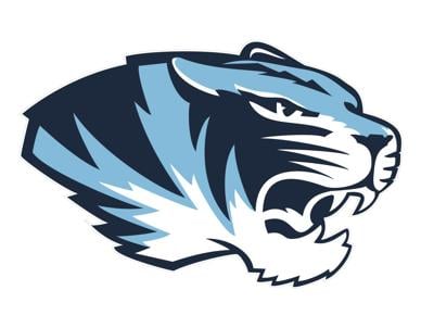 Salem TIger logo