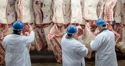 USDA Supervisory Agricultural Meat Graders