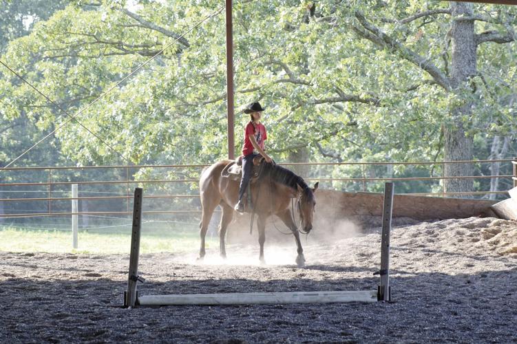 Lexi Mullins, western pleasure