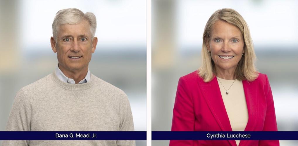 MicroTransponder Appoints Dana G. Mead, Jr. as Chair of the Board and Adds Cynthia Lucchese as Independent Director