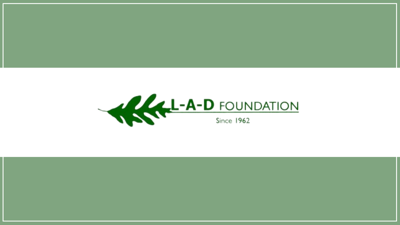 LAD foundation logo