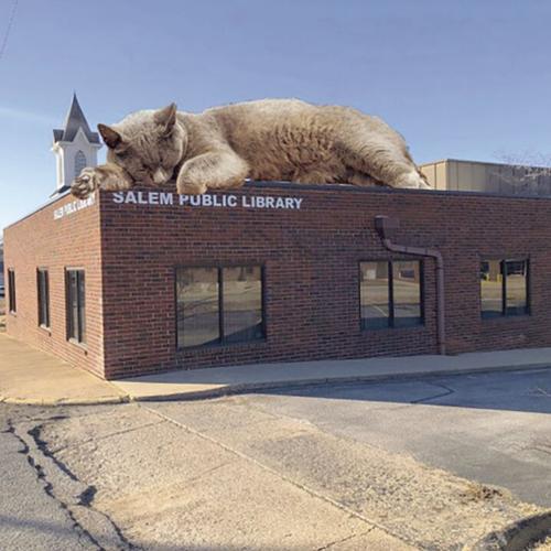 FBLA partnered with the Salem Public Library