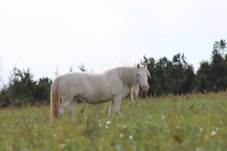 Prairie Hollow Gorge
