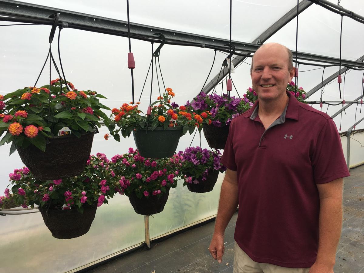 Cahill Family Greenhouses replanting in Phelps County