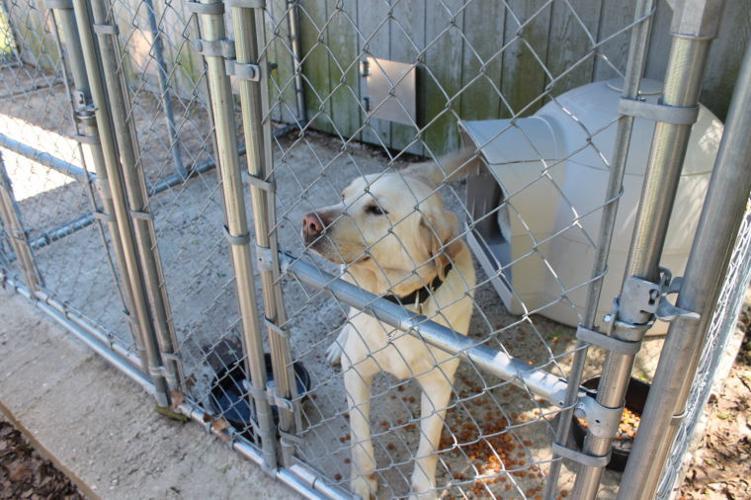 Phineas moved to new location