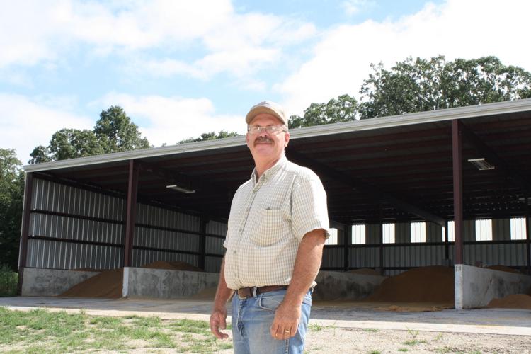 Networth Feeds and Feeding