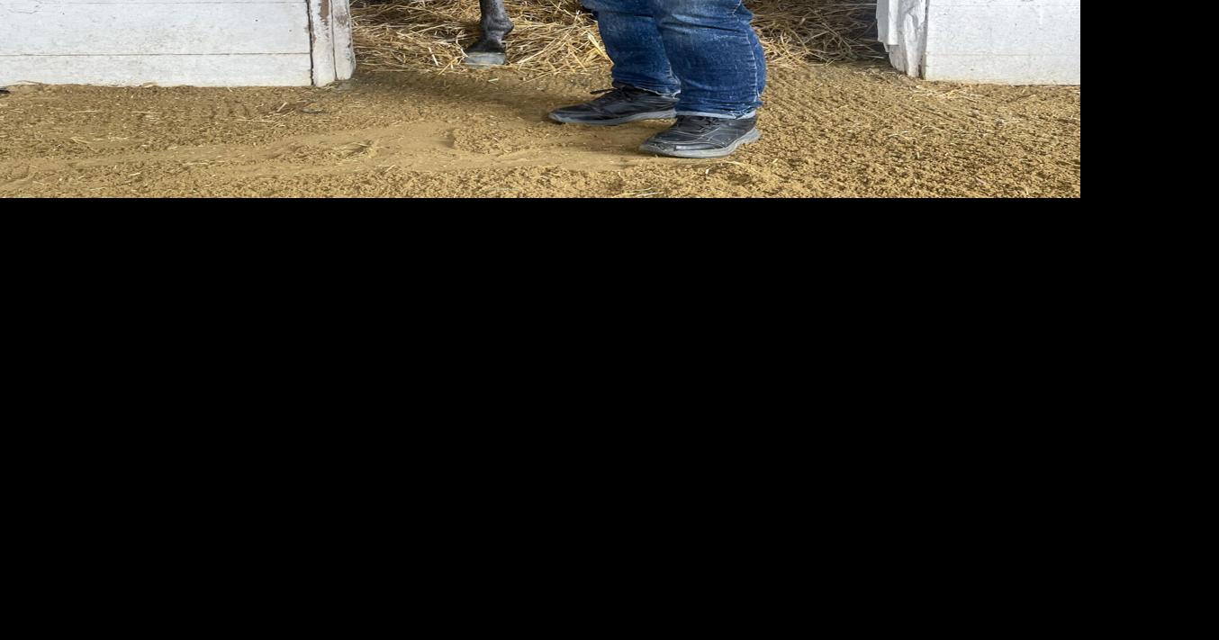 “The Greek,” Laurel Park’s oldest backstretch worker, eyes his next wager after decades on the track
