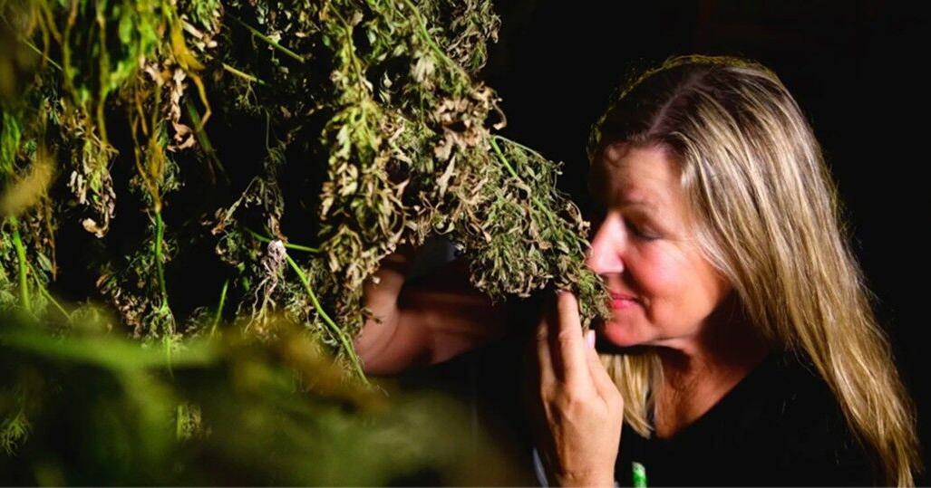 Fingerboard Farm Runs Multiple Businesses to Stay Afloat, even a Cannabis Venture