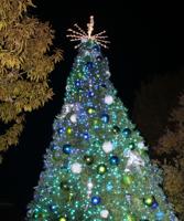 Holiday season officially begins in Rockville with the Town Christmas Tree lighting