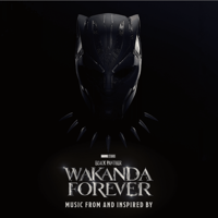 “Wakanda Forever” themes resonate with audience after passing of Chadwick Boseman