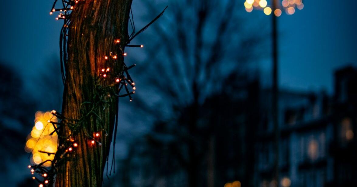 Terra Gaucha Brazilian Steakhouse Donates 300 Meals on Christmas Eve