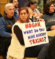 Hundreds rally to stop controversial highway road widening projects