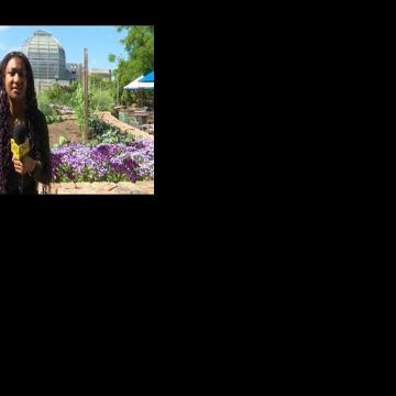 U.S. Botanic Gardens showcases each state flower in honor of America’s 250th Celebration