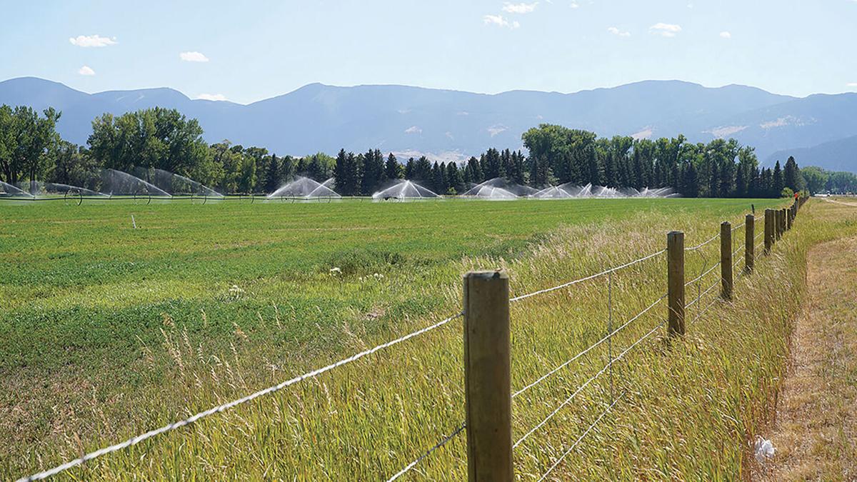 Padlock Ranch to host Wyoming Stock Growers Association annual roundup
