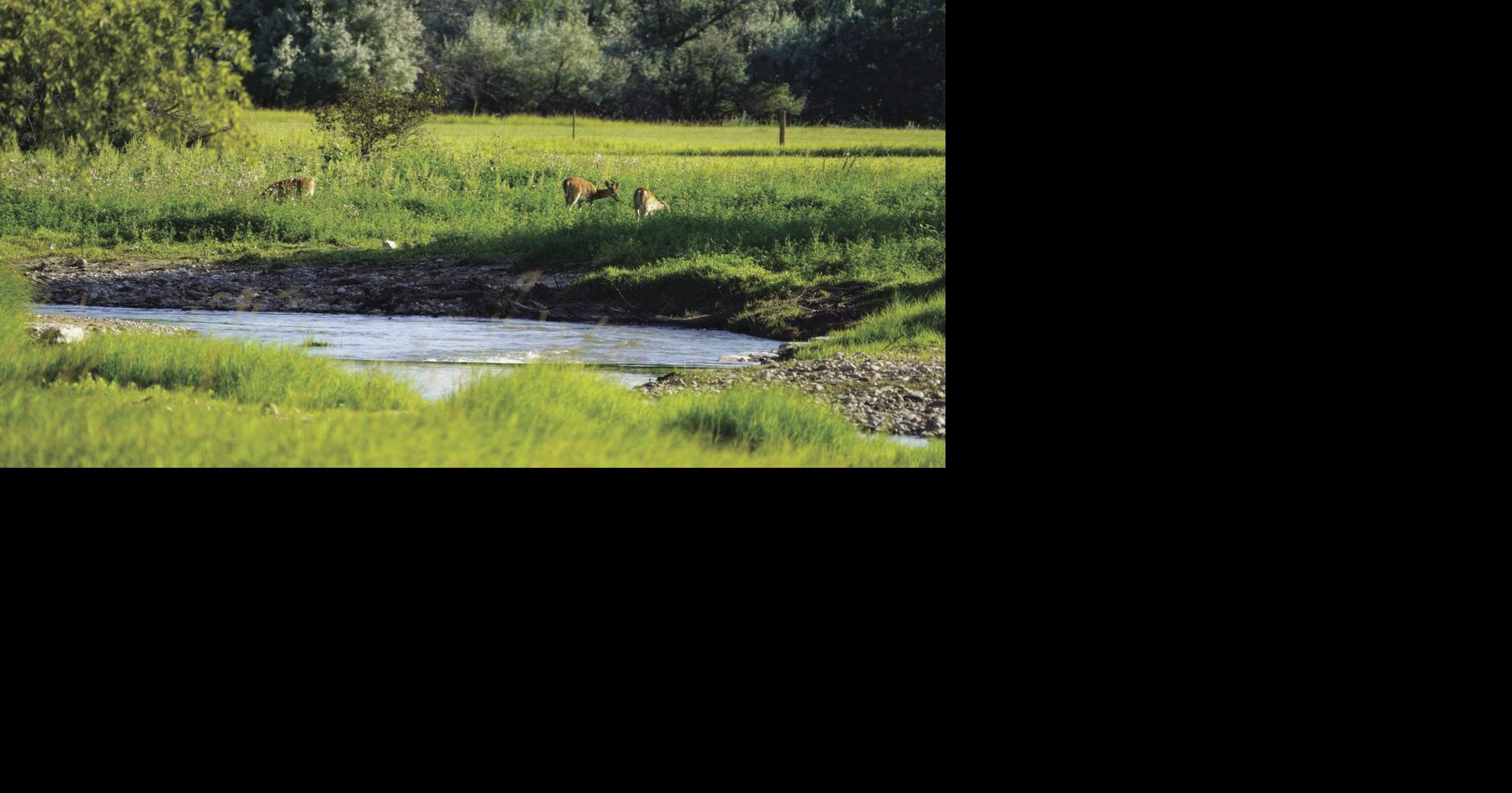 Wyoming Game and Fish encourages public stewardship reminders amid dry habitat conditions