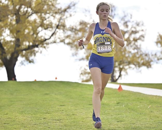 Crosscountry teams culminate season at state championships Local