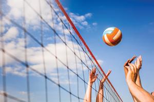 Lady Eagles volleyball sweeps Newcastle