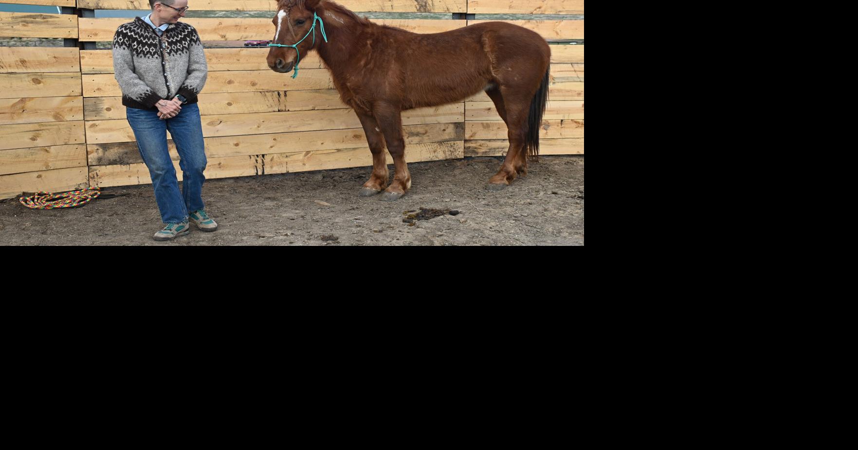 At-Ease Horsemanship shares healing mission at OH Ranch event | People ...
