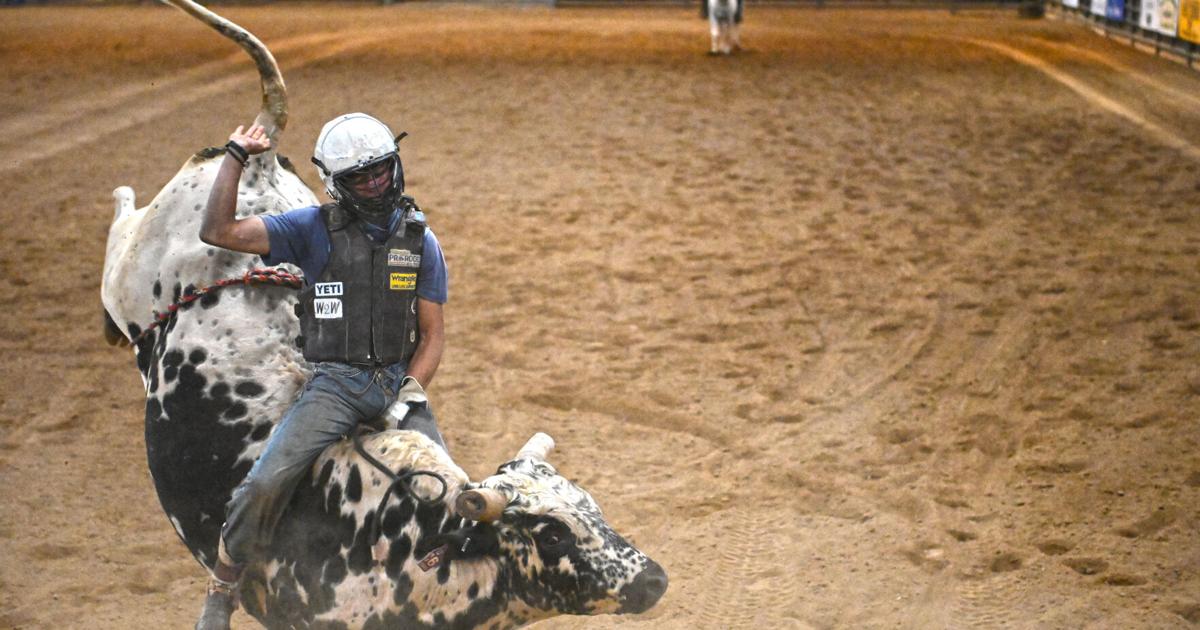 Sheridan College Generals bull riding practice | Photo Galleries ...