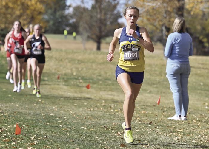 Crosscountry teams culminate season at state championships Local