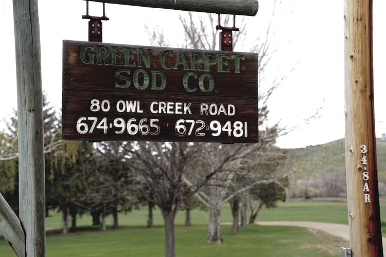 After nearly five decades, Sheridan County's only sod farm changes