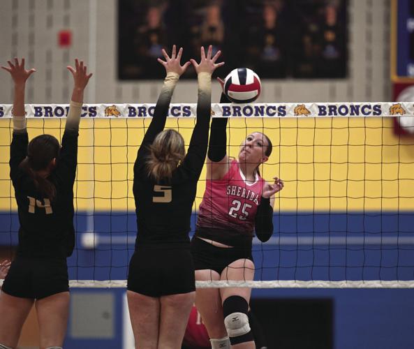 Hailey Patterson Patterson signs to Rocky Mountain as junior | Local Sports ...