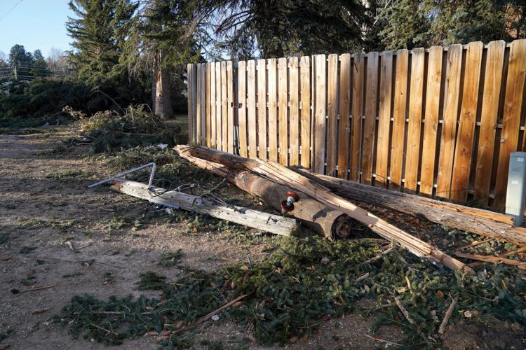 High winds result in downed power lines, trees in Story | Local News ...