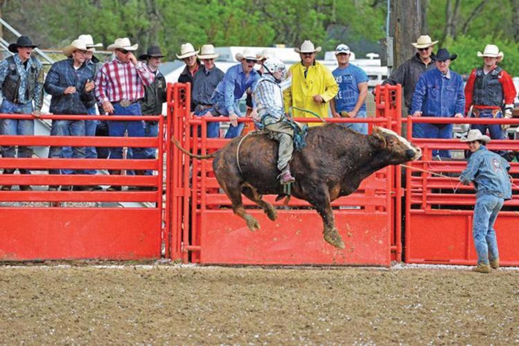 Local bull rider claims Colorado rodeo | Local Sports ...