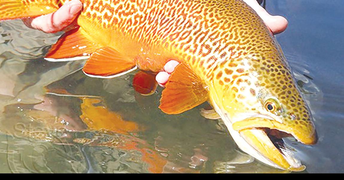 Trout Unlimited chapter to host general membership meeting Local News