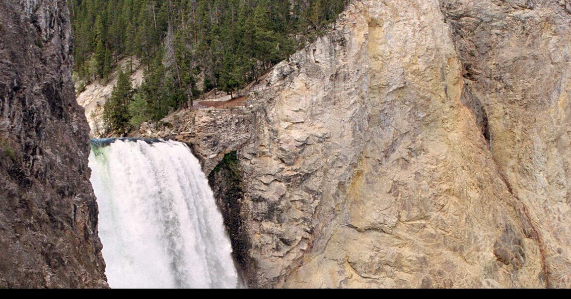 Yellowstone must prepare for climate change, scientists say - The Sheridan Press