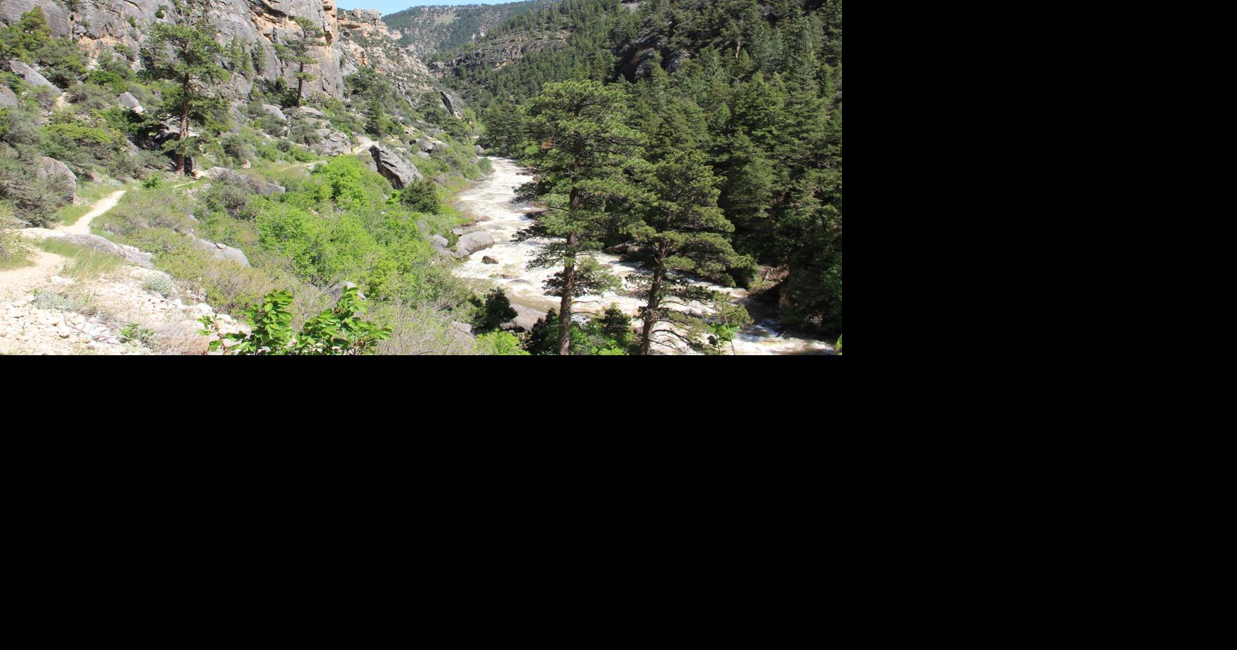 Traced through time The history and preservation of Bighorn National Forest's oldest trails May 21, 2026 May 21, 2026 Updated 6 mins ago