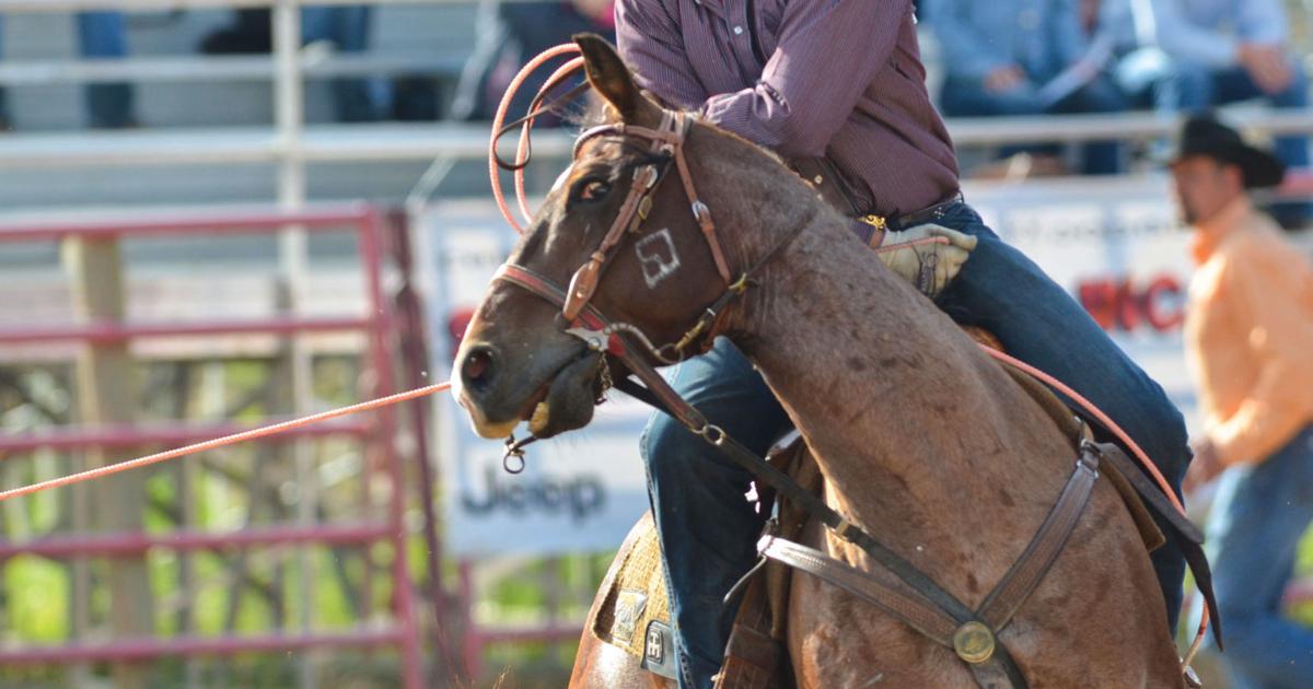 Cadee Williams Roping For the hometown fans – Williams puts on team-roping show at ...