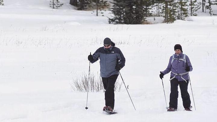 Endless snowshoeing opportunities in Bighorns, Local Sports