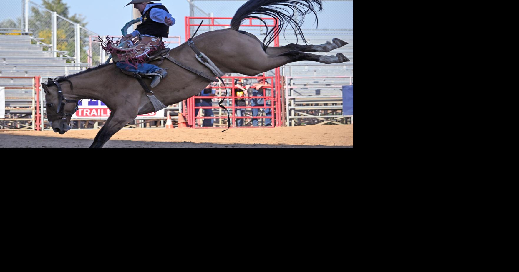 Sheridan WYO Rodeo expands scholarship program | People and events ...